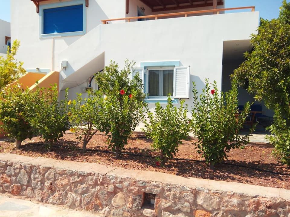 Alkioni Sea View Apartment Zakros Exterior photo
