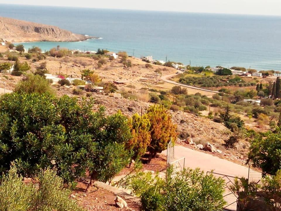 Alkioni Sea View Apartment Zakros Exterior photo