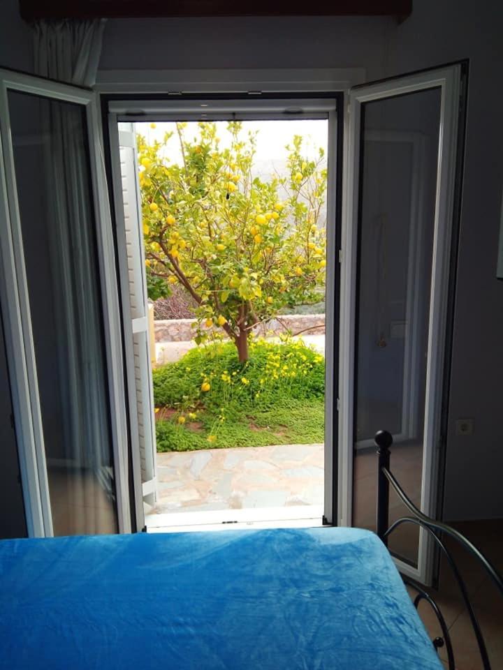 Alkioni Sea View Apartment Zakros Exterior photo