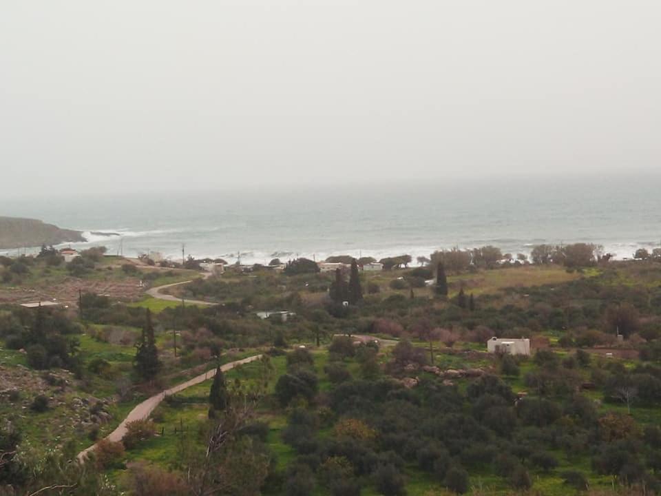 Alkioni Sea View Apartment Zakros Exterior photo