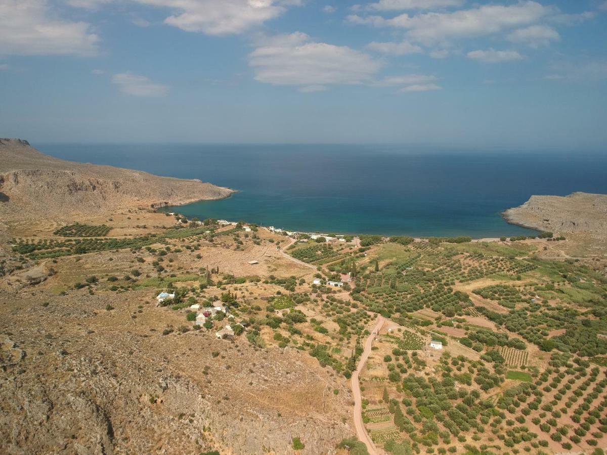 Alkioni Sea View Apartment Zakros Exterior photo