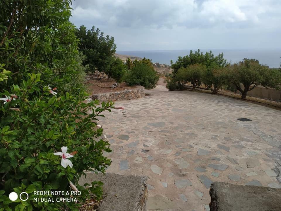 Alkioni Sea View Apartment Zakros Exterior photo